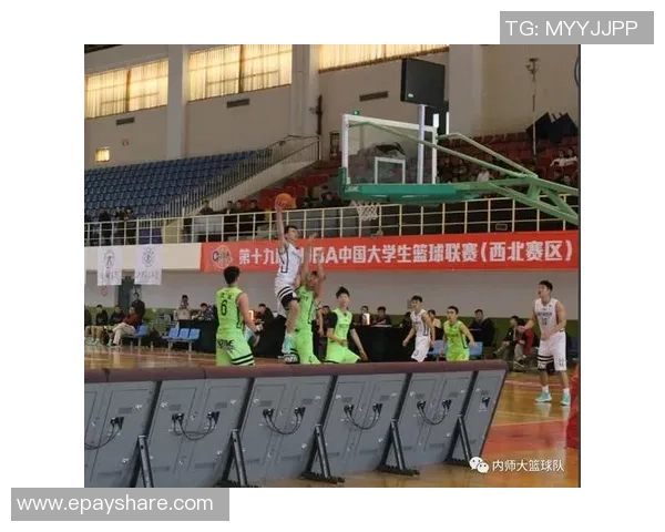 成都羽毛球队的奋斗与荣耀：从默默无闻到锦标赛的辉煌历程